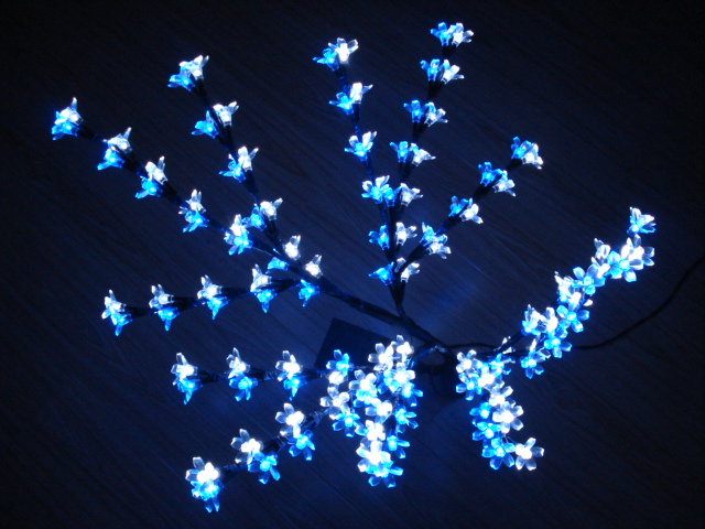 <img border='0' src='UpLoadFile/2009060908092073499.jpg'>